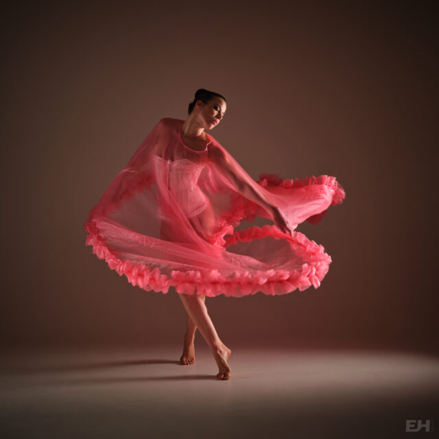 Pink Flamingo  - Acrylic